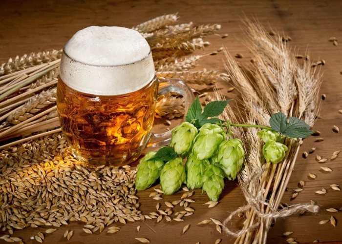 craft beer có đắng không