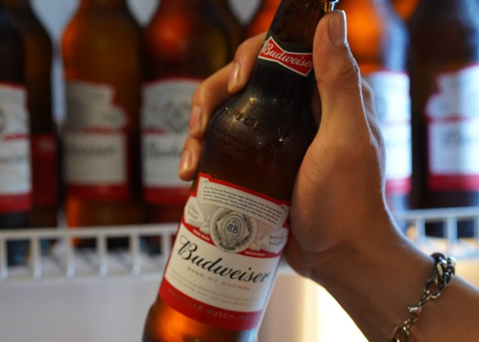 Craft beer để tủ lạnh không