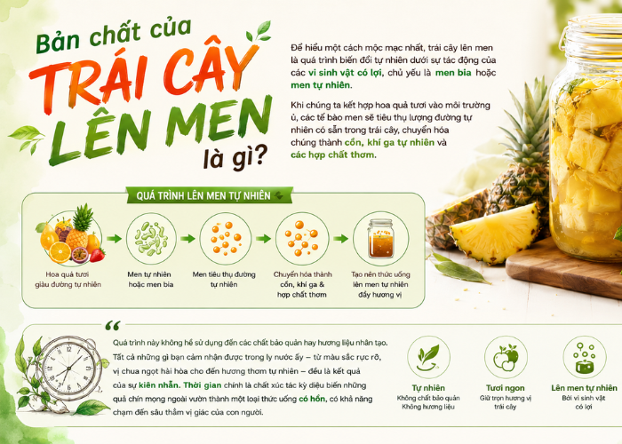 Trái cây lên men