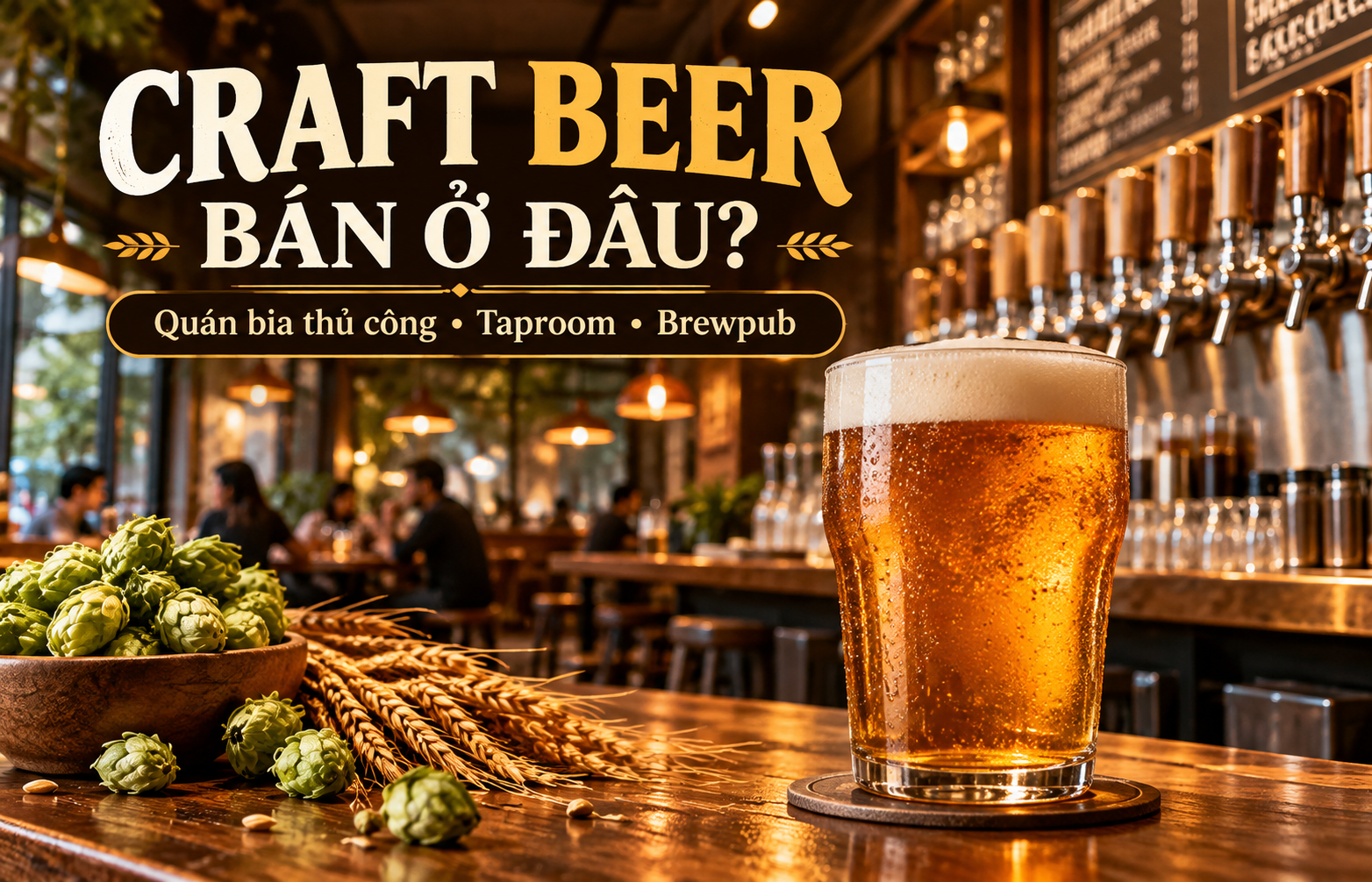 Craft beer bán ở đâu