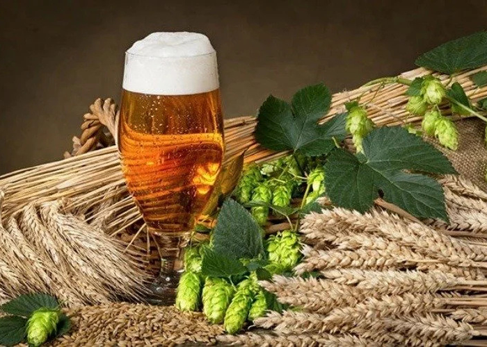 homebrew là gì